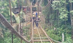 IMG-20260213-WA0097
