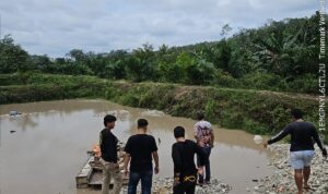 IMG-20260214-WA0088