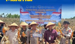 IMG-20260519-WA0004