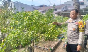 IMG-20260619-WA0002