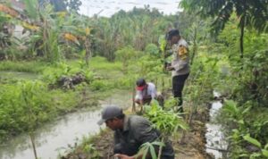 IMG-20260624-WA0222